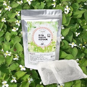 참건강마을 (유기농) 어성초차 주전자 50g 10티백 X 3팩, 10개입, 3개