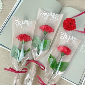 코코지앙 카네이션 한송이 꽃다발 감사해요 레터링, 사랑해요 레드, 1개
