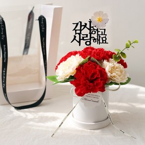 가정의달 어버이날 메르시 비누꽃 카네이션 화분 세트 부모님선물 축하 감사 스승의날, 선택안함, 살구레드, 1개