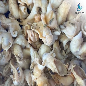국내산 포항 순살 백골뱅이 세척 자연산 골뱅이살 프리미엄 진공 포장, 1개, 프리미엄 골뱅이살 300g (10~20미)
