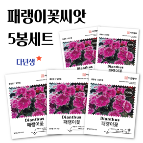 패랭이씨앗 500립 5봉세트 패랭이꽃 종자 씨 꽃씨 몰 다년생 야생화, 5개