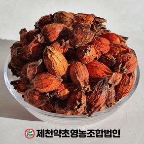 국산 치자 500g 제천약초영농조합, 1개