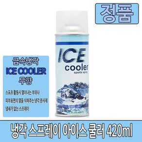 아이스쿨러 쿨링 냉각 스포츠 냉각스프레이 파스 420ml, 1세트, 1개입