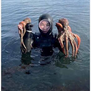 문어 돌문어 거제도해녀가 잡아 손질한 자연산 돌문어 냉동/ 1kg, 상처 및 2~3마리 냉동1kg, 2개