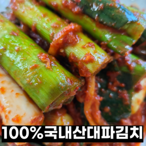 [KUUNNI] 100%국내산 시원하고 맵싸한 남다른 전라도 대파김치, 1개, 1kg