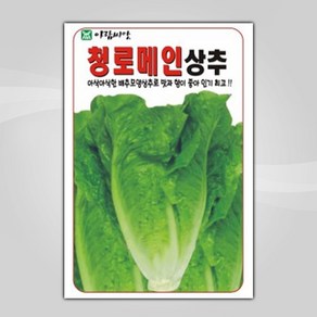 슬로시 상추씨앗 쌈채소씨앗 적치마 양상추 샐러리 5종 혼합상추 씨, 1개