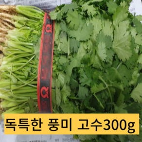 고수 약300g 국내산 1단 향신료 고수나물 고수풀 향채, 1개