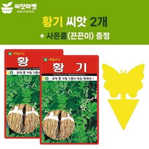 아람 황기 씨앗 300립 토종 황기씨 약초 종자 2개+끈끈이 1p, 1개