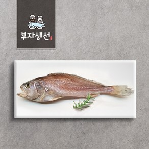 반건조 침조기 소 중 대 특대 (망미중앙시장 부자생선), 침조기37cm1마리, 1개