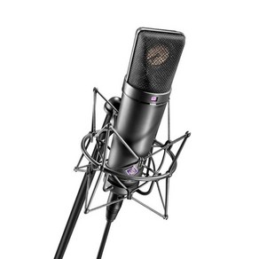 NEUMANN U87Ai 전문 스튜디오 정전식 마이크 K 노래 라이브 녹음 장비, 02 Black