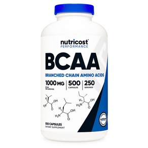 뉴트리코스트 BCAA 2:1:1 1000mg 500캡슐 1병, 500정, 1개