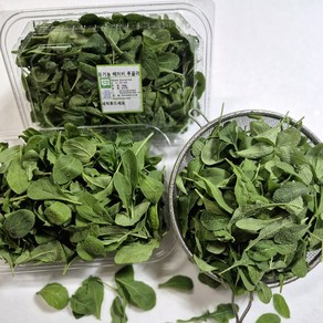 [바오팜] 유기농 베이비루꼴라 샐러드 채소 루꼴라, 100g, 3개