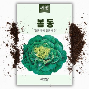 봄동씨앗 (5000립), 1개