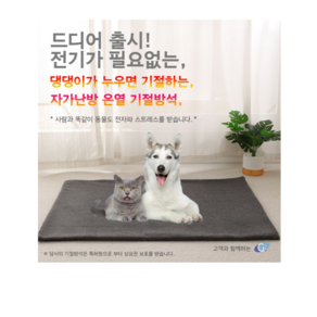 [무료배송]강아지 고양이 카본 자가 온열 기절방석 매트 무전력 동물용 매트, 1개, 다크 그레이