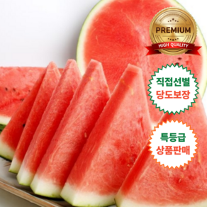 [임가네농수산] 프리미엄 고당도 특품 꿀수박 직접선별 선물용, 1박스, 수박4~5kg