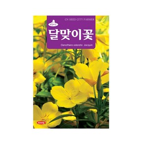 (CN) 달맞이꽃 씨앗 (4000립), 1개