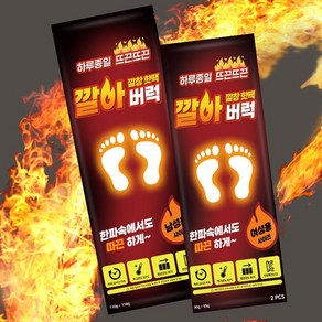 알뜰공식 뜨겁데이 군용 군인용 발난로 발바닥 신발 깔창 핫팩 87g, 20개