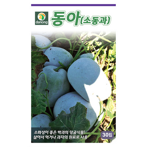 다농 동아(소동과)씨앗 30립, 1개