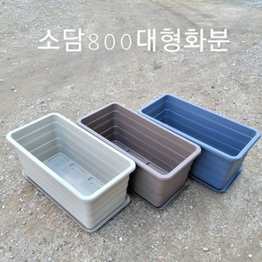 소담800특대형 플라스틱화분 텃밭 옥상 베란다대형화분 (받침별도구매), 화분베이지