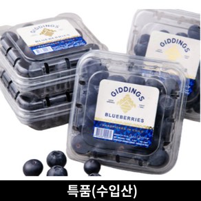 생 블루베리 국내산 수입산, 3개, 125g, (수입산) 생 블루베리