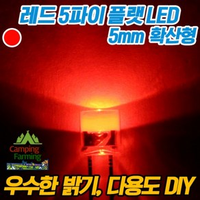 5파이 플랫 확산형LED(레드/DIY용/다용도/교재용)