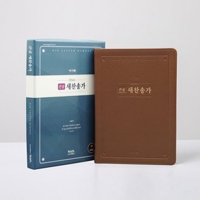 아가페 21C큰글찬송가 - 대(브라운) 새찬송가