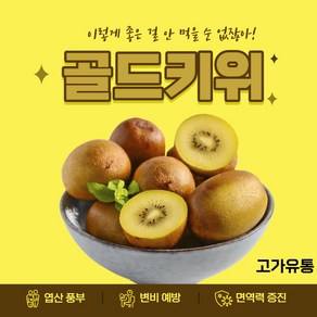 고가유통/ 프리미엄 골드키위 고당도 참다래 제스프리 썬 새콤달콤 뉴질랜드산, 10개(1.1kg), 1개