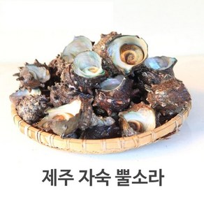 서귀포수협 제주 자숙 뿔소라 500g/1팩, 1개