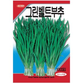 부추 씨앗 1000립 - 생육이 왕성하고 내병성이 강한 우수한 품종 부추씨 부추씨앗