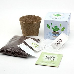 [TJCOMPANY] 틔움세상 TIUMWORLD 반려식물 화분재배키트 팜팜농장시리즈 모종 키우기 채소 키우기, 당근, 1개