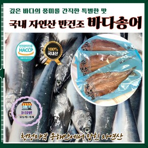 [돋을볕] 자연산 반건조 바다송어 강릉수협 동해안 국내산 1미당 240g내외, 3개, 240g 내외