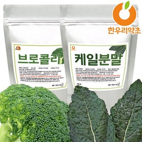 브로콜리 케일 분말 가루 세트 600g 국산, 브로콜리분말300g+케일분말300g, 1개