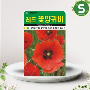 솔림텃밭몰 레드꽃양귀비씨앗 700립 꽃양귀비씨앗 레드꽃양귀비