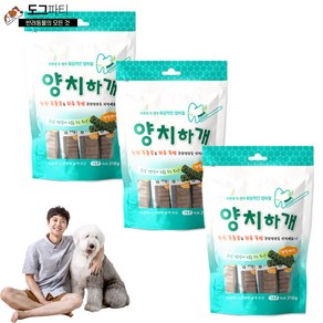 양치하개 덴탈케어 스케일링 유산균 14p 24p 강아지 양치 덴탈껌, 210g, 3개