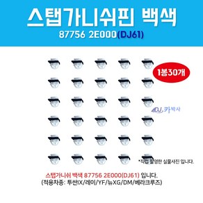 DJ61/877562E000/1봉30개/흰색사각/스탭가니쉬백색/가니쉬스탭핀/클립사이드씰몰딩마운팅/가니쉬핀/백색/스탭핀/투싼IX/레이/YF/DM/베라크루즈/DJ61, 30개