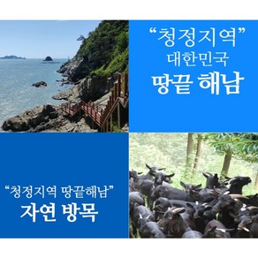 땅끝 해남 청정지역 자연방목 흑염소 흑염소즙 흑염소진액 엑기스 60포, 30포(건강야채즙 5포 서비스), 3000ml, 1개