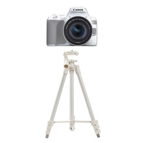 캐논 미러리스 EOS 200D 화이트 삼각대, 1개