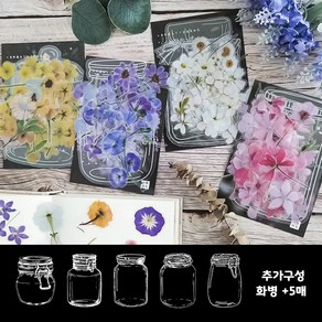 다꾸스티커 꽃잎 꽃 압화 스티커 다이어리 꾸미기, 160매