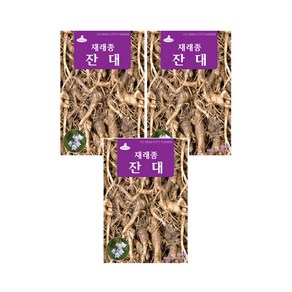 모두다 채소씨앗 잔대씨앗(1000립), 3개