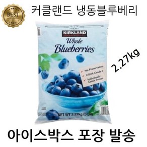 커클랜드시그니처 냉동 블루베리 2.27kg WJ, 1개