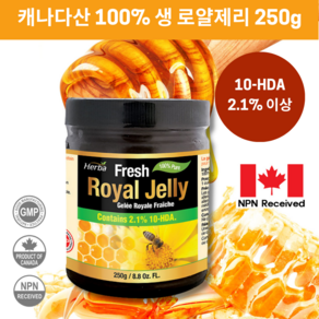 생 로얄젤리 250g 프리미엄 100% 로열젤리 10-HDA 허바 캐나다산