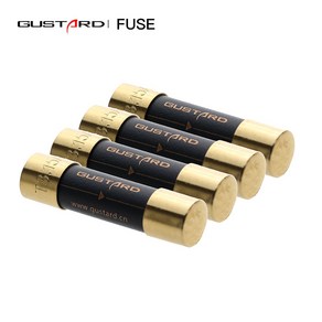 GUSTARD 퓨즈 HIFI 퓨즈 나노 합금 고급 퓨즈 U16 C16 X16 A18 P26 X22 A22 X26 H20 GUSTARD R26 A26 fuse 3.15A fuse, 1.6A, 1.6A