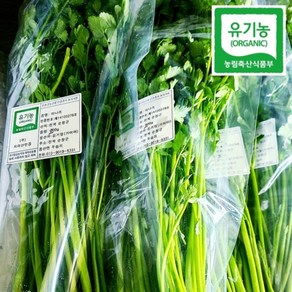 순창 유기농 미나리 돌미나리 200g 새벽수확 세척발송 200g 2개, 1개