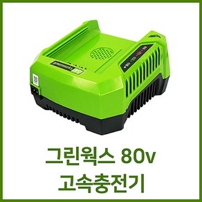 그린웍스 그린웍스 G-MAX 전용 고속충전기 G-MAX80V-충전기, 1개