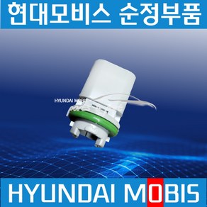 넘버등 번호판등 소켓 홀더 뉴파워텍 트라고 메가트럭 엑시언트 926128A110, 1개