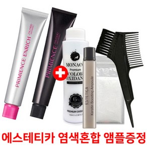 시세이도 염색약80g+에스테티카 염색혼합 앰플증정//새치커버/튜닝컬러/멀티컬러 프리미언스 멋내기칼라 염모제, 튜닝컬러, 튜닝컬러(그레이) G-8, 1개