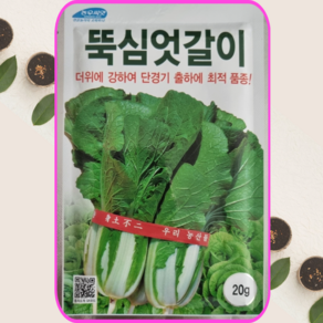 식물세계 배추 씨앗 뚝심 엇갈이 20g 더위에 강한 채소, 1개