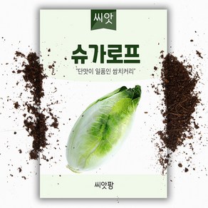 씨앗팜 슈가 치커리 로프 씨앗 (1500립) 잎 치커리 종자