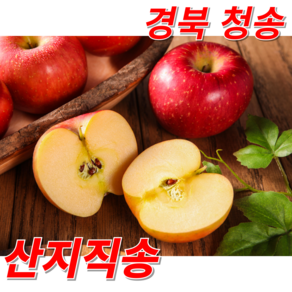 [산지직송] 꿀맛뚝뚝 맛좋은 고당도 부사 청송 사과, 1박스, 3kg 혼합과