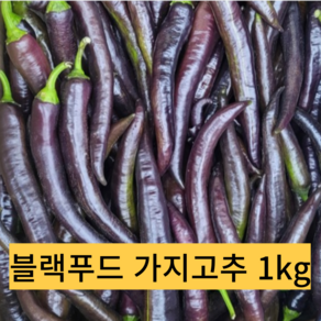 [국내산] 미인고추 가지고추 특 미인보라고추, 1kg, [1통]